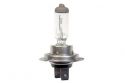 GLHLAMPE H7 12V H7